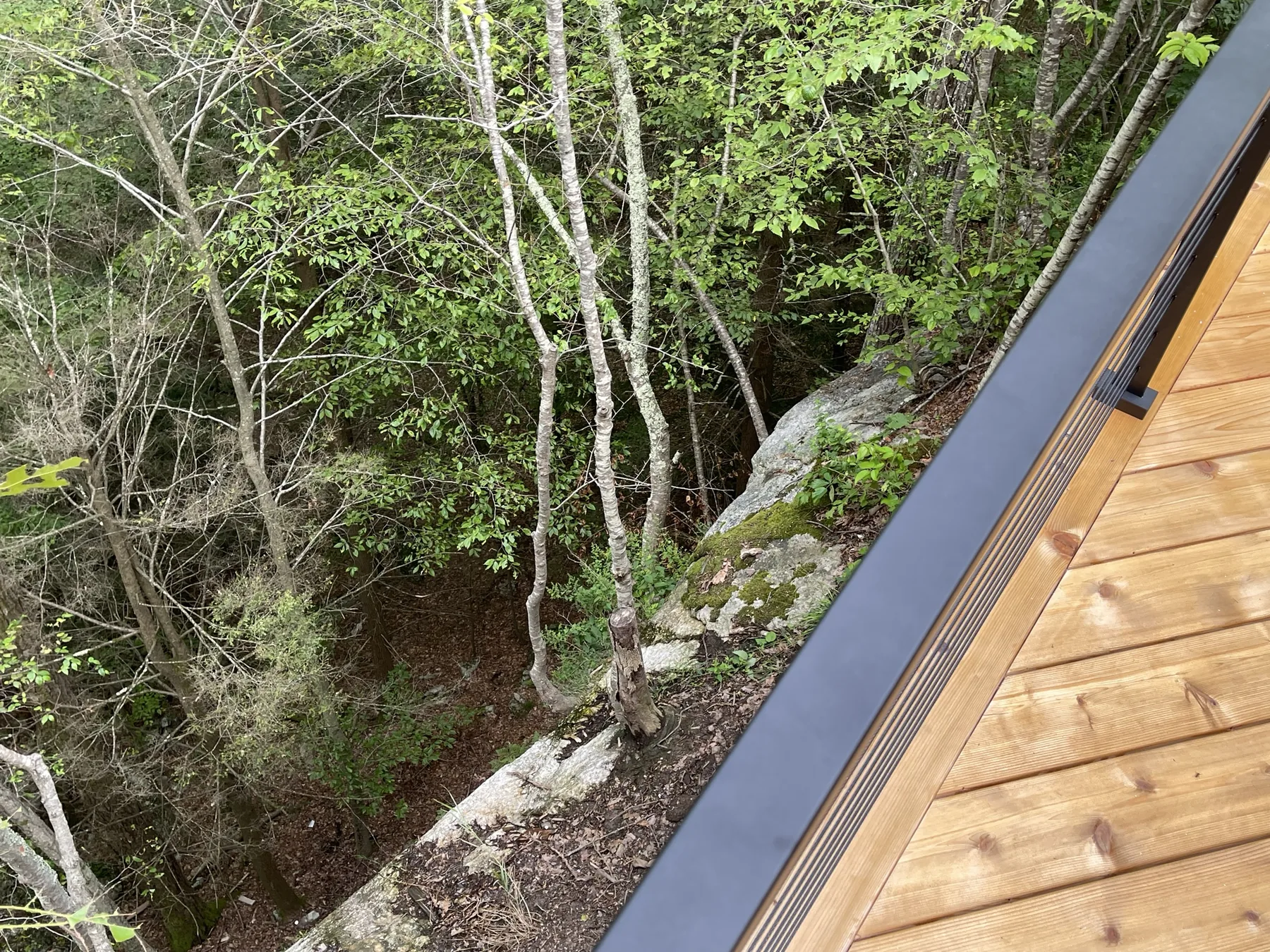 Looking down from the deck edge past the black fascia to mossy bedrock and trees on the slope below